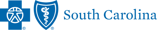 south carolina logo