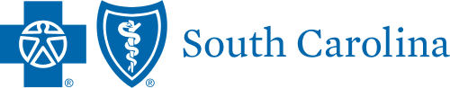 south carolina logo