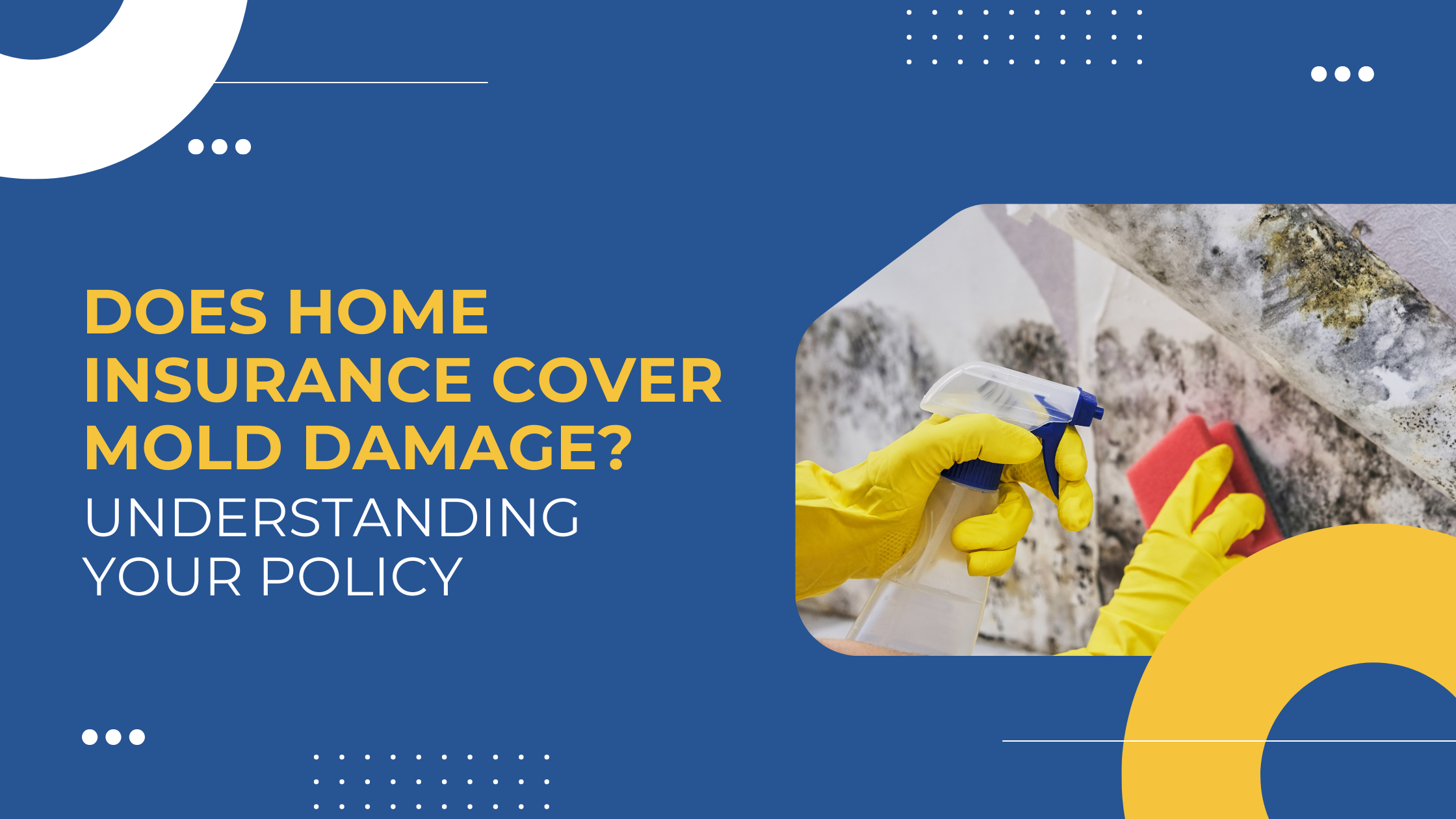 Read more about the article Does Home Insurance Cover Mold Damage? Understanding Your Policy
